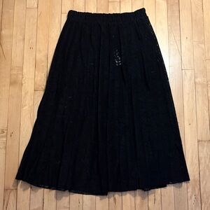 Anthropologie Elegant Semi-Sheer, Pleated Black Lace Skirt